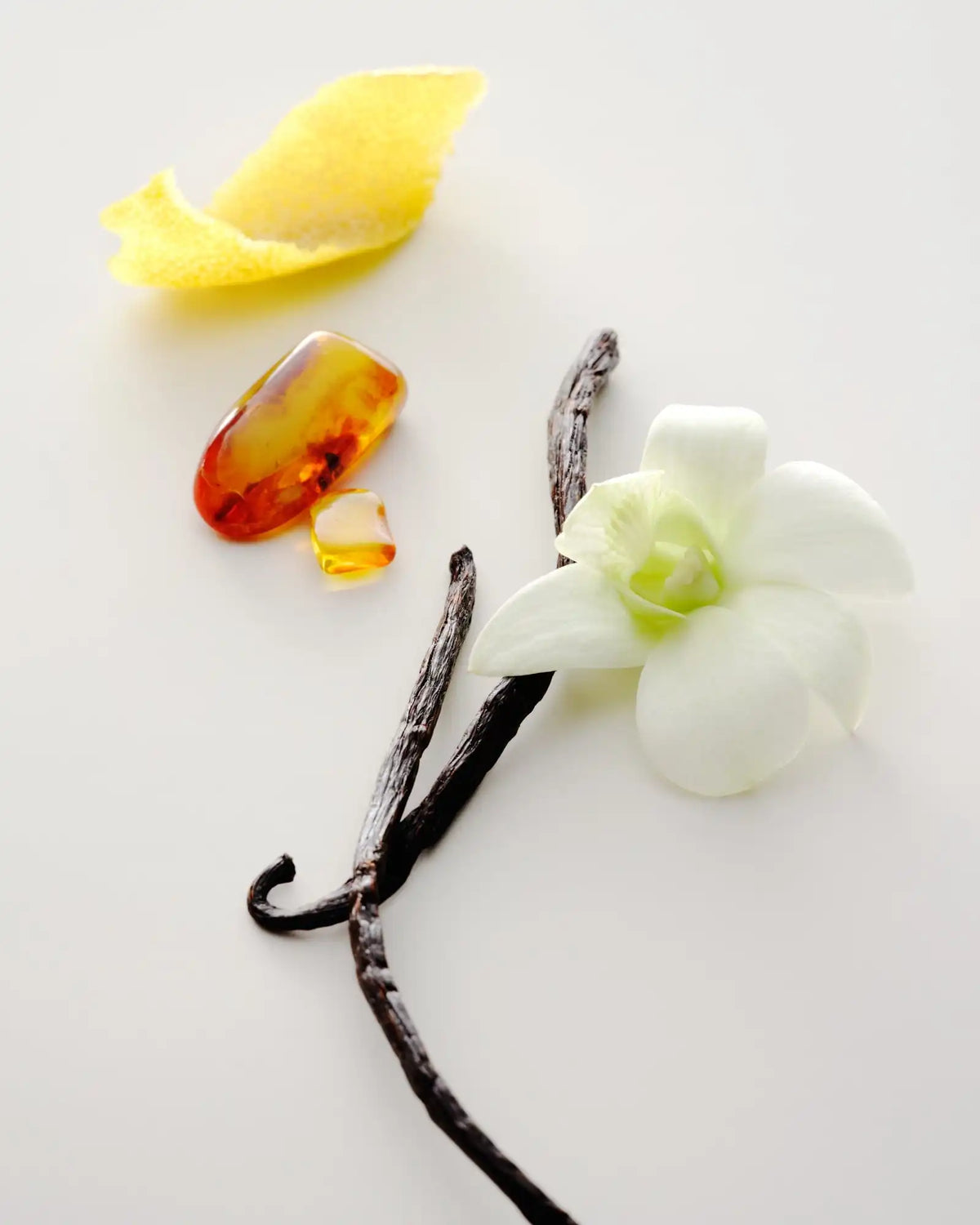 Eau de Parfum - No.15 Vanille Infinie